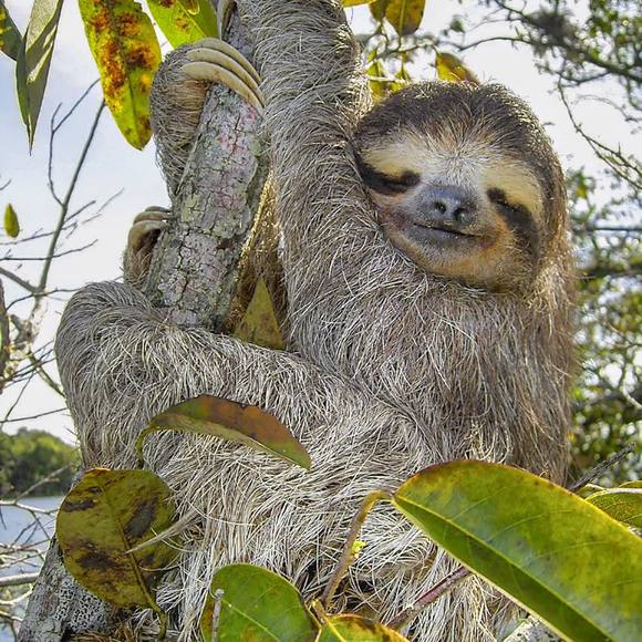 Meet your Posher, Lester - Picture 1 of 1